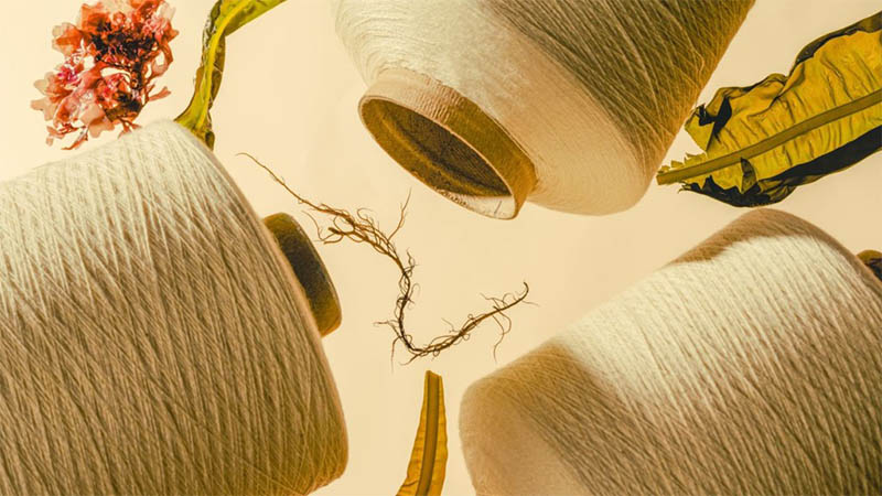 Rebranded_Keel_Labs_Unveils_Seaweed-Based_Yarn.jpg