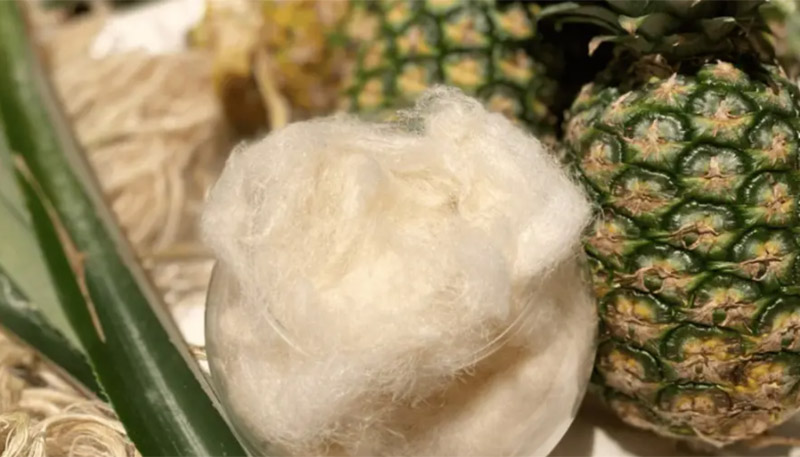 The_pineapple_fiber_and_yarn_industry_a_sustainable_and_innovative_textile_choice.jpg